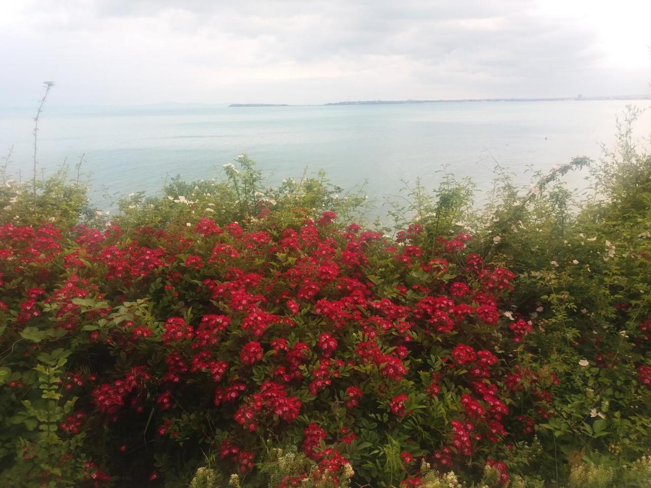 Hotel Sea Vista 스베티 블라스 외부 사진